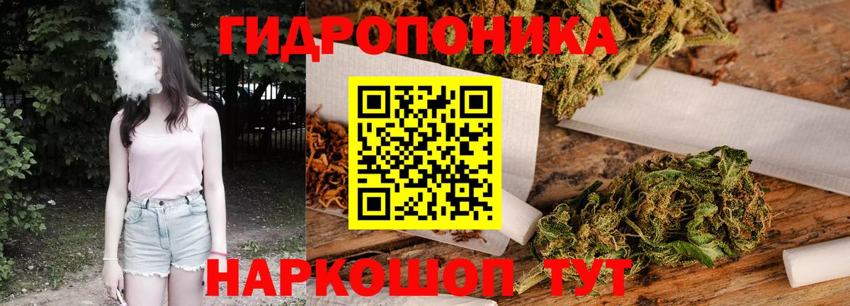 Шишки марихуана конопля Северодвинск